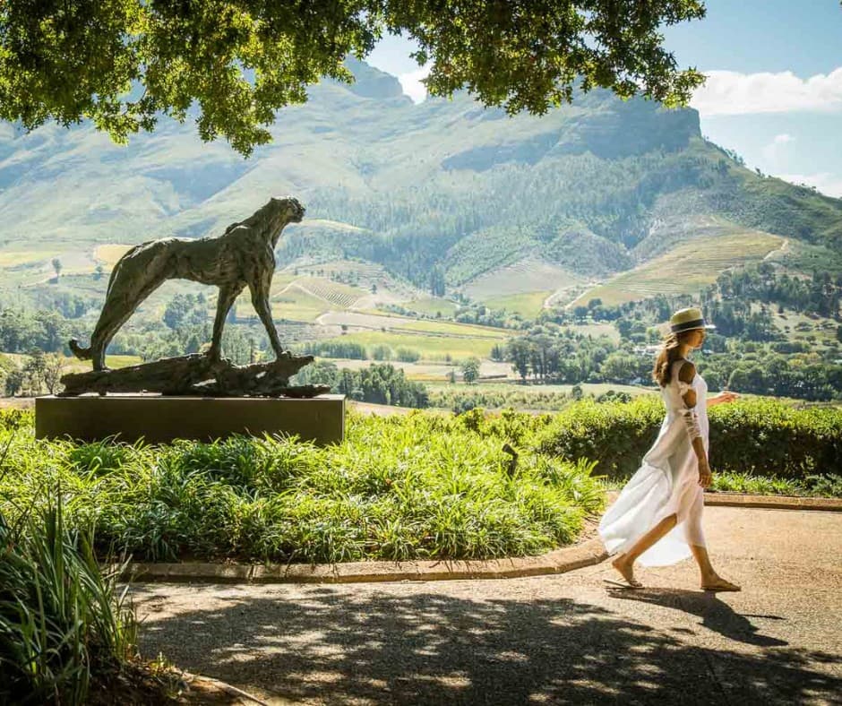 Cape Winelands wine tasting day in Stellenbosch and Franschhoek