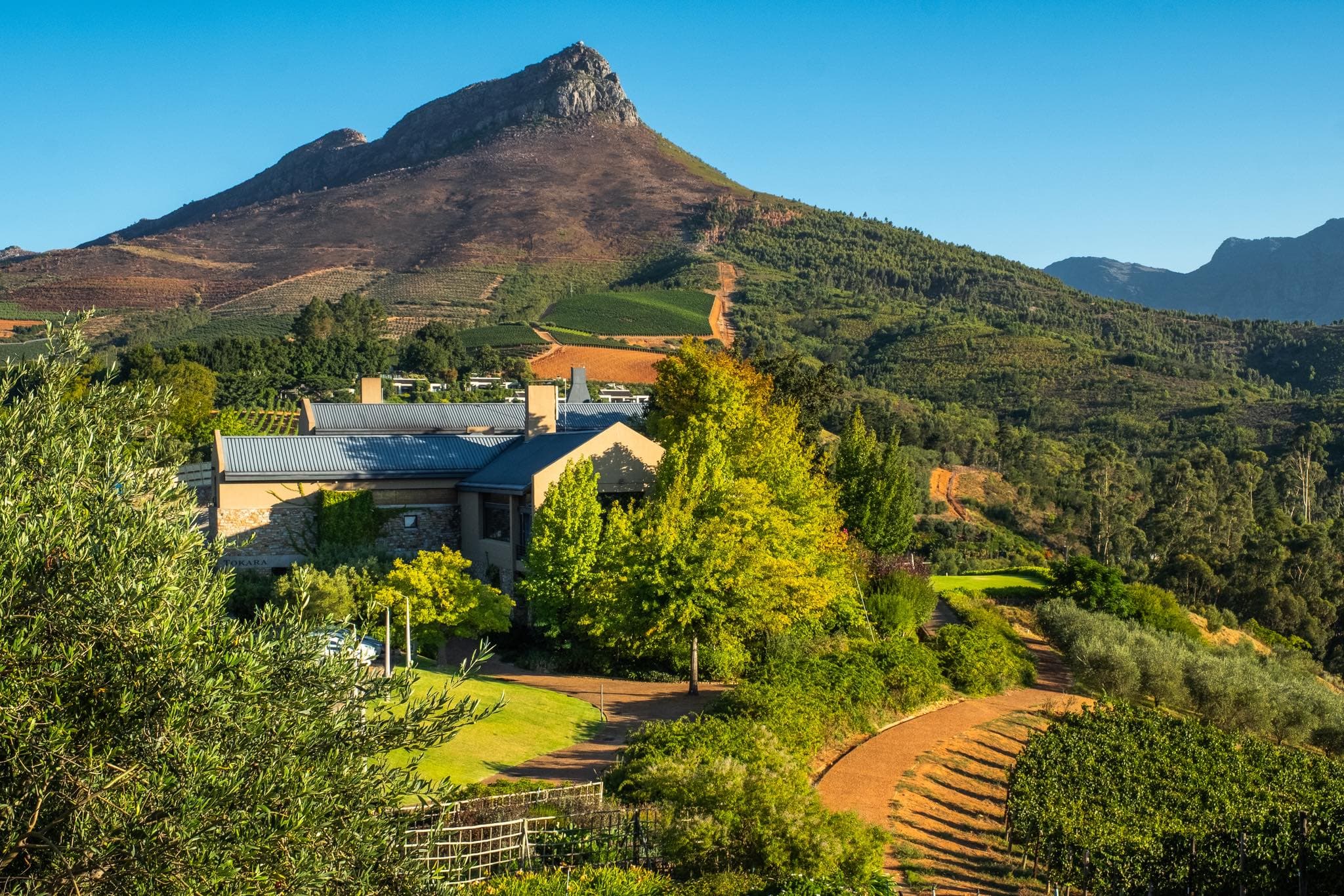 Tokara Wine Estate vineyard views in Stellenbosch near Cape Town