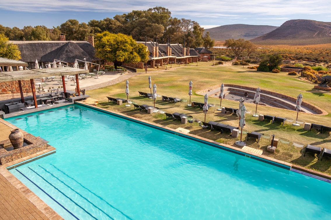 Sunset Safari Day Trip from Cape Town private tour